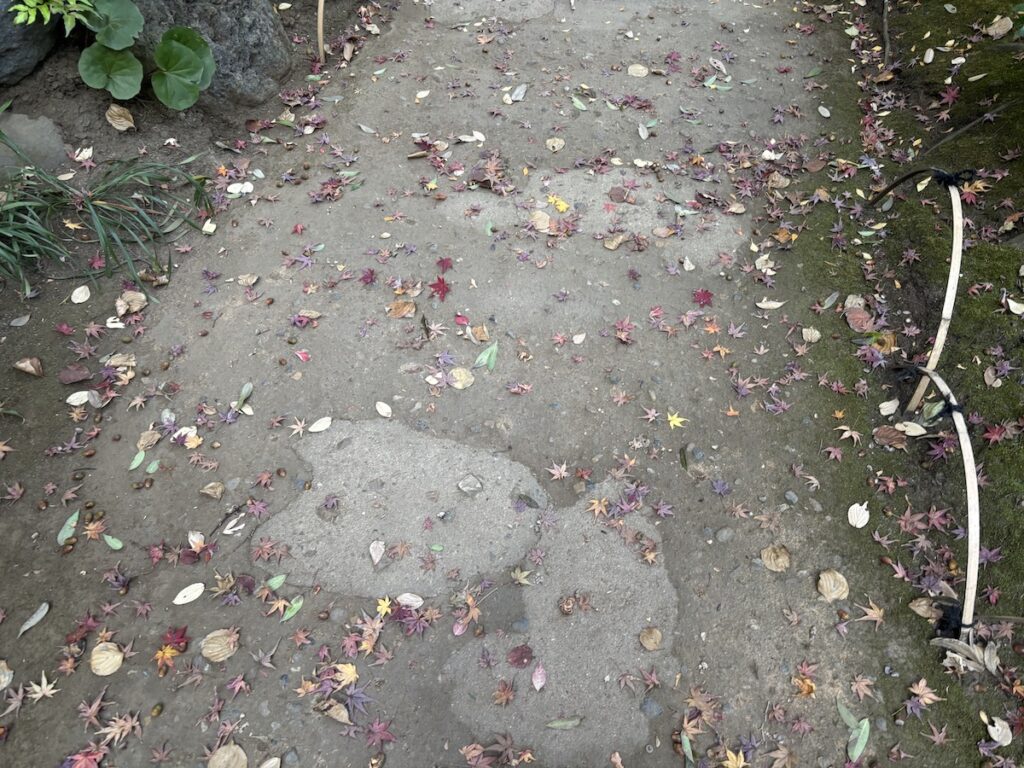 神嶽山神苑の苑内